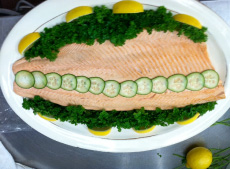 salmon