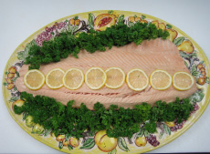 salmon